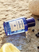 Acqua di Parma Blu Mediterraneo Ginepro di Sardegna EDT 75 ml. (Аква ді Парма Гинепро ді Сардегна), фото 5