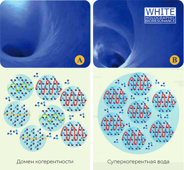 Вихори суперкогерентной води і простої води