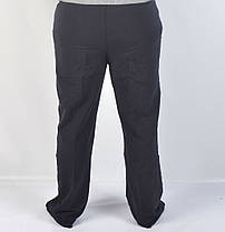Трикотажні чоловічі штани спортивні "BOULEVARD" S ( В1), фото 2