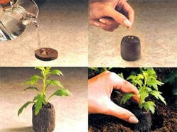 Торф'яні таблетки Jiffy 24мм.