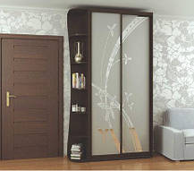 Шафа-купе 2 двері Стандарт 110х45 h-240, ТМ Фенікс, фото 5