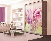 Шафа-купе 2 двері Люкс 110х60 h-225, ТМ Фенікс, фото 5