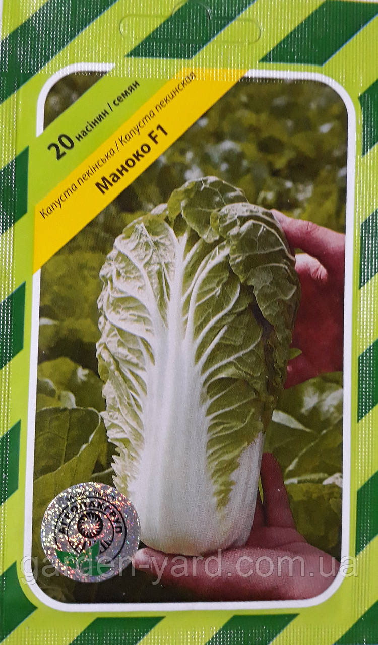 Насіння капуста пекінська Маноко F1 Bejo Zaden Голландія