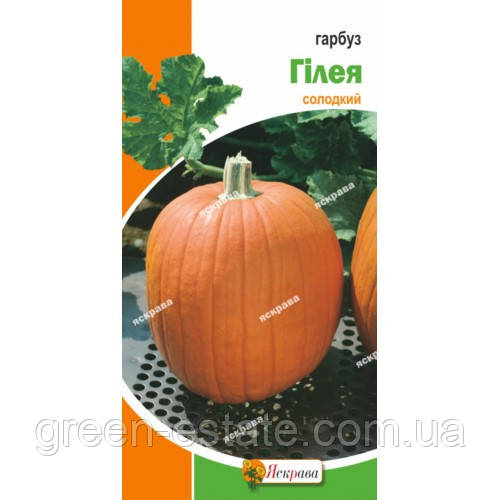 Гарбуз Гілея 3 р.