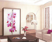 Шафа-купе 2 двері Ультра 200х60 h-225, ТМ Фенікс, фото 4