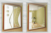 Шафа-купе 2 двері Люкс 100х60 h-240, ТМ Фенікс, фото 5