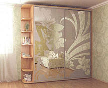 Шафа-купе 2 двері Стандарт 200х60 h-240, ТМ Фенікс, фото 5