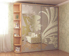 Шафа-купе 2 двері Стандарт 210х60 h-240, ТМ Фенікс, фото 3