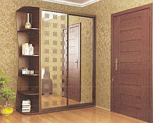 Шафа-купе 2 двері Стандарт 210х60 h-240, ТМ Фенікс, фото 5