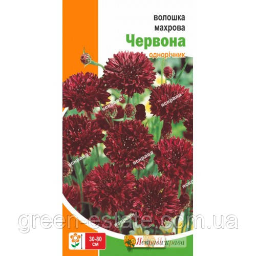 Волошка Махровий Червоний 0,5 р.