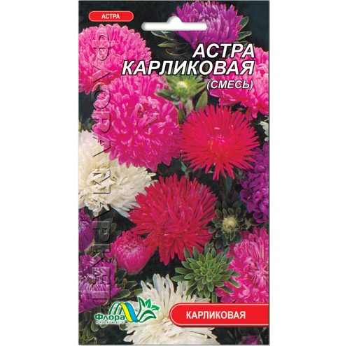 Насіння Айстра Карликова суміш різні кольори 0.3 г, фото 1