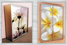 Шафа-купе 2 двері Ультра 100х60 h-240, ТМ Фенікс, фото 5