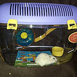 Клітка = переноска для хом'яка, пахви., фото 2
