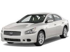 Maxima (2008-2015-...)