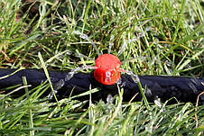 Набір Крапельниць садових Presto-PS регульована 0-70 л/год (AOD-0170) 10шт, фото 5