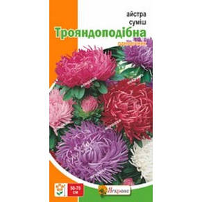 Айстра Трояндоподібна суміш, насіння 0.3 г, Яскрава, фото 3