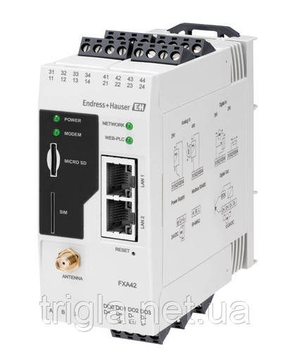 Перетворювач для моніторингу Fieldgate FXA42