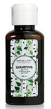 Шампунь проти лупи з березовим дьогтем