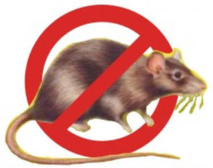 Родентициди (від мишей і пацюків)
