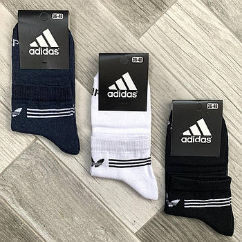 Шкарпетки жіночі демісезонні спортивні х/б Adidas, Athletic Sports, асорті, середні, 06114