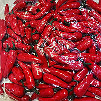 Декоративний перчик Чилі (червоний 7 см), фото 5