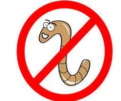 Антипаразитарні програми