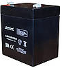 Акумулятор EverExceed AM 12-4.5, фото 2
