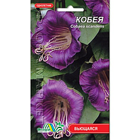 Семена Кобея фиолетовая однолетник вьющийся 0.3 г