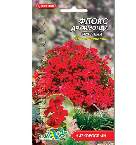 Насіння Флокс друмонда червоний однорічник низькорослий 0.1 г, фото 1