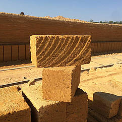 МАКУШНЯК КУПИТИ НІКОЛАЄВ ▼ КУПИТИ РАКУШНЯК ХЕРСОН ▼ КУДИТИ РАКУШНЯК УКРАЇНА  ☑ гарантія якості 100%!