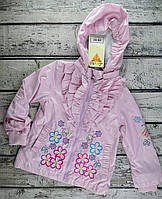 Куртка. Ветровка для девочек Размер 86 (1,5 года) розовый Полиэстер V99-15(86)р Baby Line