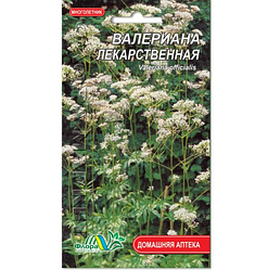Насіння Валеріана 0.05 г лікарська багаторічник