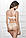Комплект жіночої білизни push-up з німецьким мереживом Jasmine 1005/19 Arin Молочний, фото 2