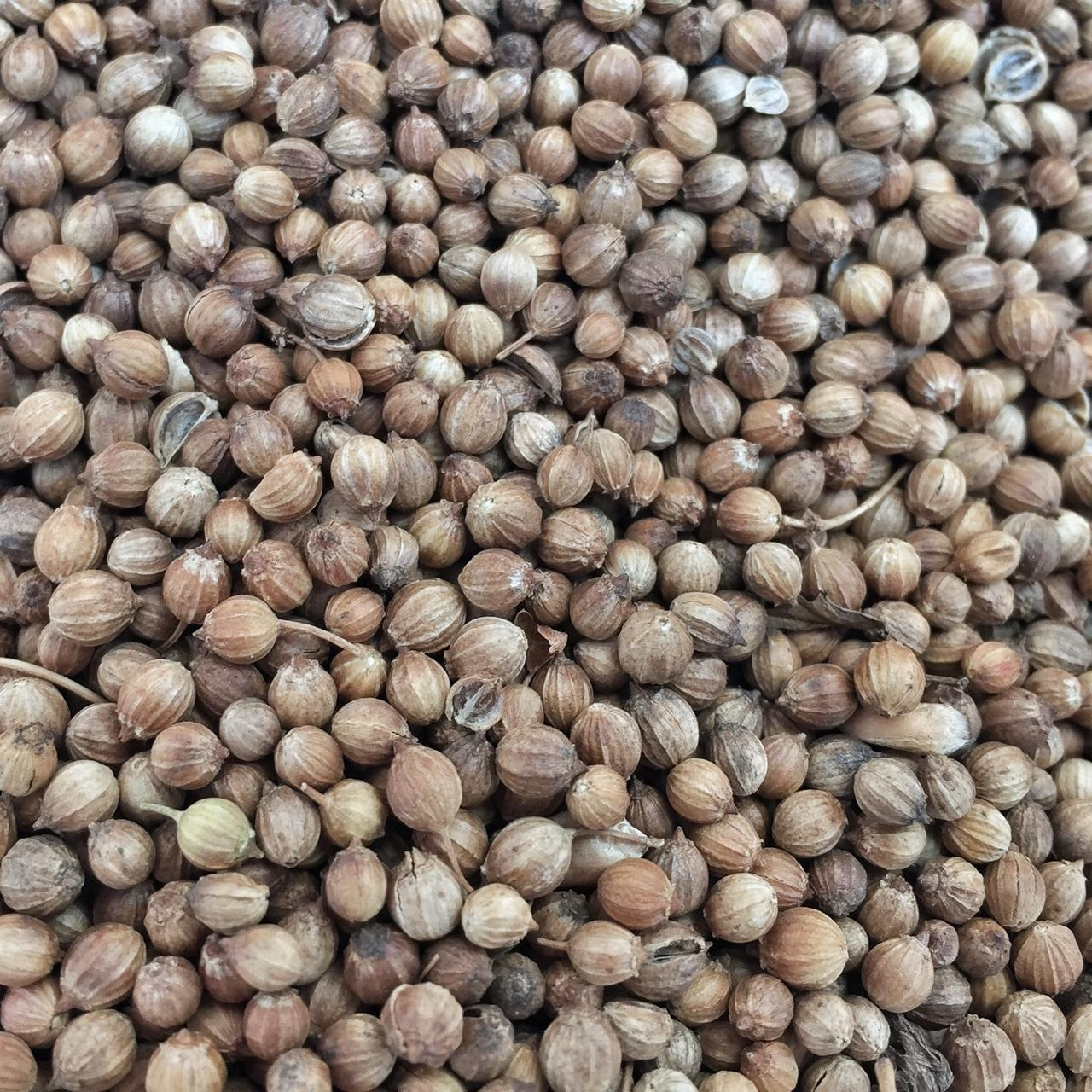 Үлкен әтеш порно