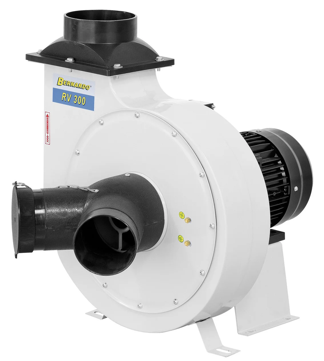 RV 300