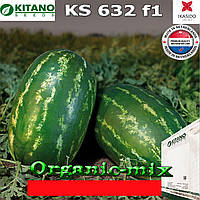 Кавун KS 632 F1 від ТМ KITANO SEEDS, 1000 насінин (Нідерланди)