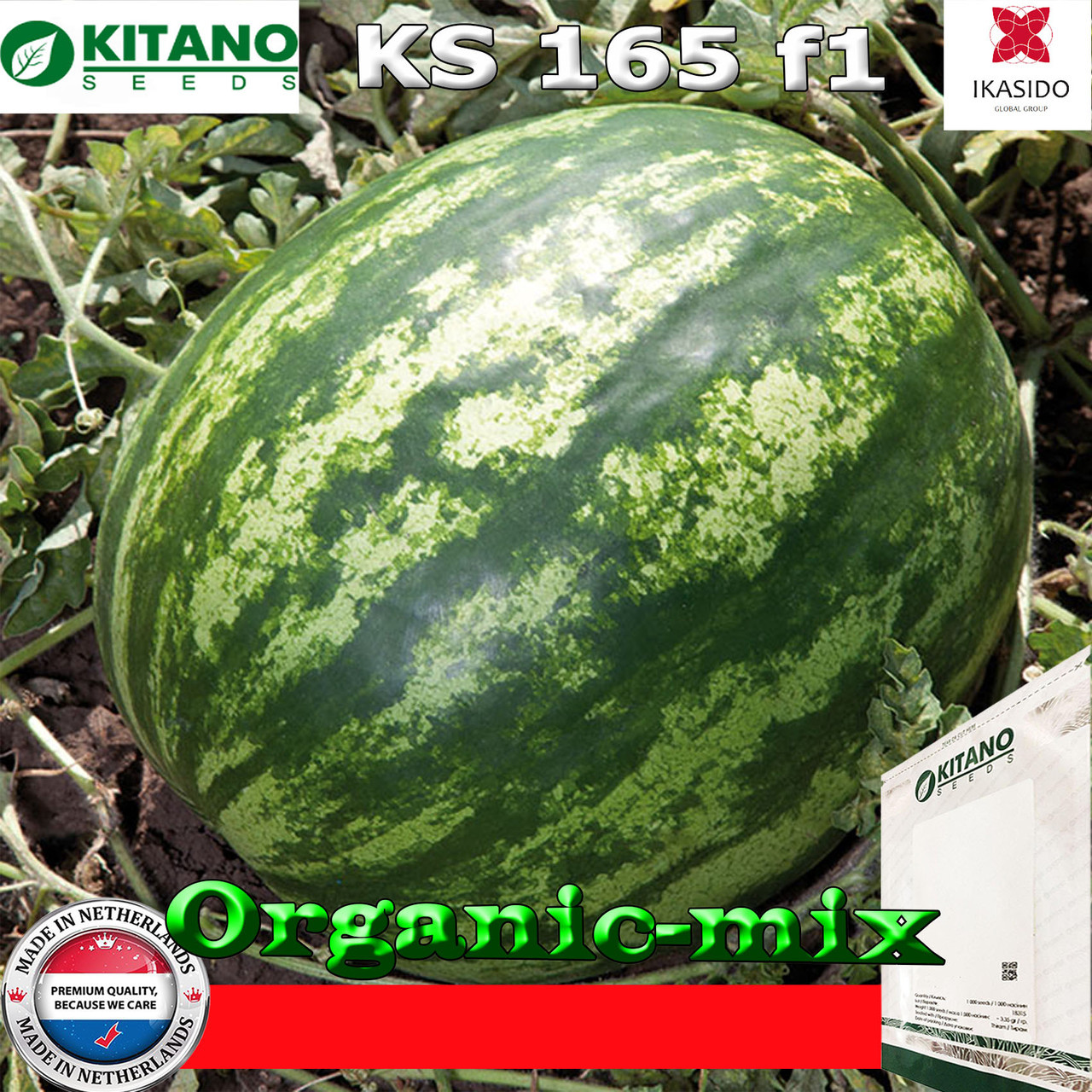Насіння, кавун КS 165 F1, 100 насіння, KITANO SEEDS (Нідерланди)