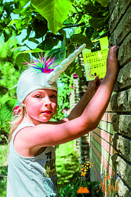 Літо'2019 зі Склянкою Мрій 5