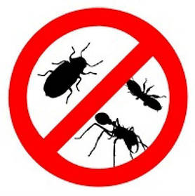 Засоби проти побутових комах