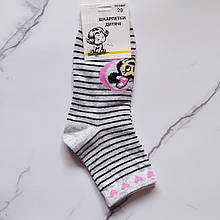 Носки детские Микки размер 31-33 (20)