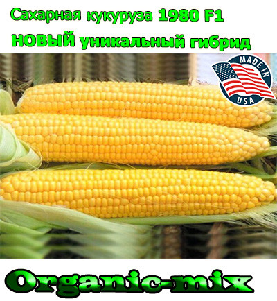 Насіння, цукрової кукурудзи 1980 F1 (США), фермерське паковання (25 000 насіння), ТМ Spark Seeds