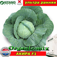 Капуста ультраранна АКИРА F1 (KITANO SEEDS, Нідерланди), проф.пакет 2500 насіння