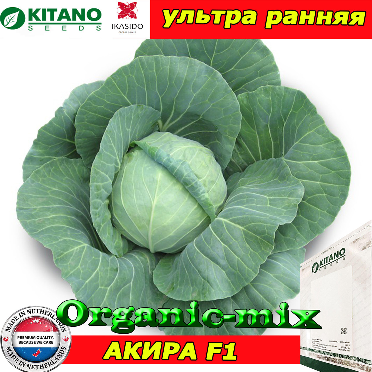 Капуста ультраранна АКИРА F1 (KITANO SEEDS, Нідерланди), проф.пакет 1000 насіння