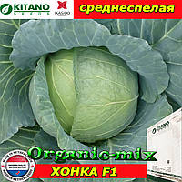 Капуста середньоспечена ХОНКА F1 (KITANO SEEDS, Нідерланди), проф.пакет 2500 насіння