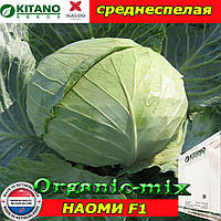 Капуста среднеспелая НАОМИ F1 (KITANO SEEDS, Нидерланды), проф.пакет 1000 семян