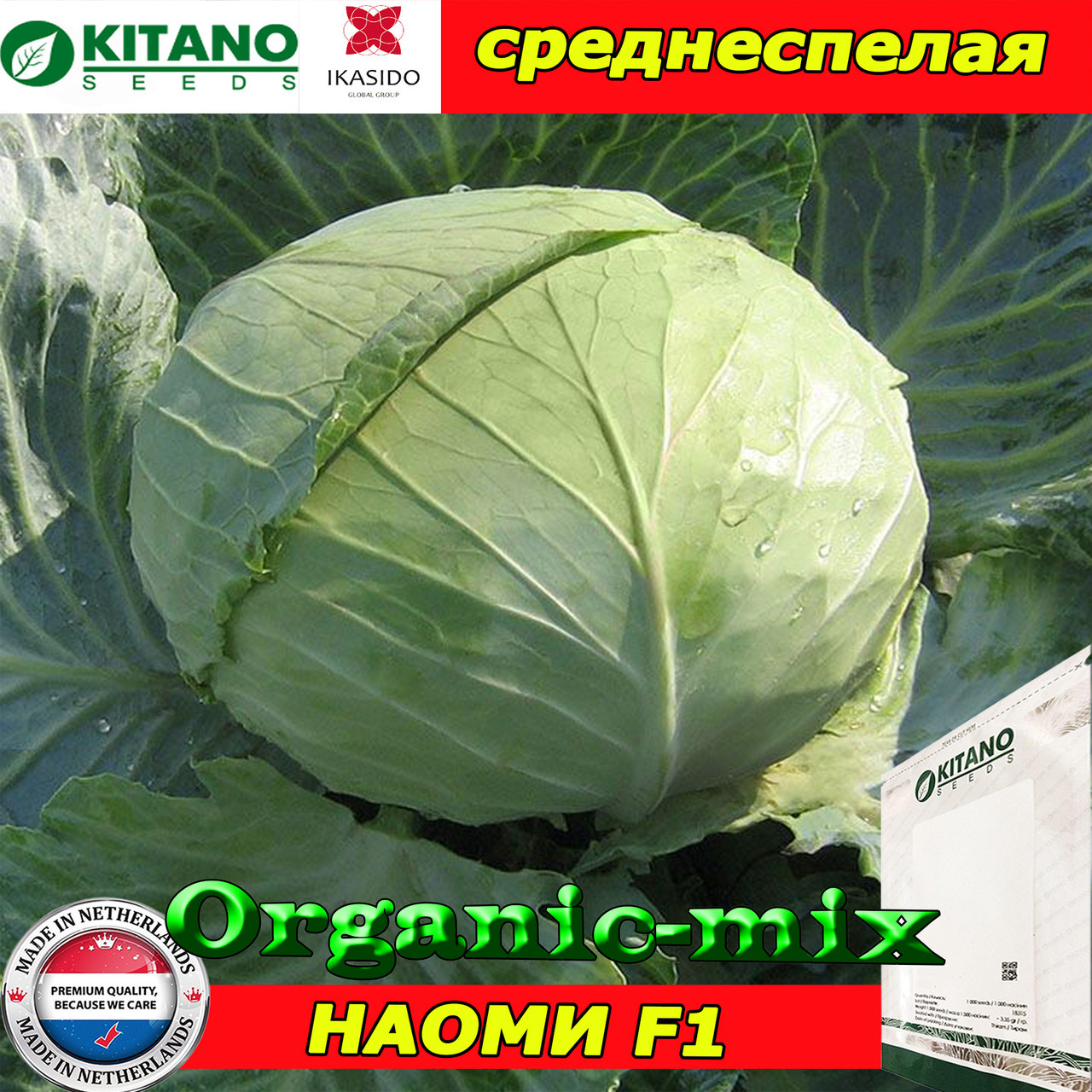 Капуста среднеспелая НАОМИ F1 (KITANO SEEDS, Нидерланды), проф.пакет 1000 семян - фото 1 - id-p1130457650