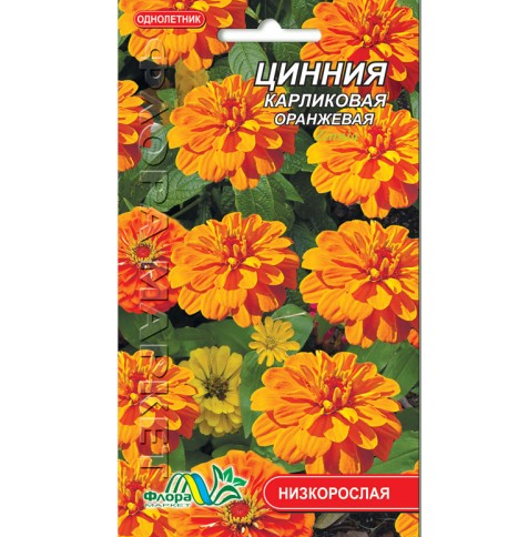 Насіння Цинія карликова помаранчева однорічник низькорослий 0.2 г