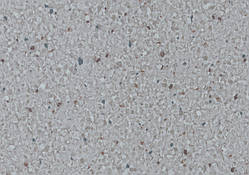 Лінолеум комерційний, Durable, Diorite, 71831, LG hausys