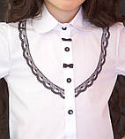 Блузка "Світ блуз" з бантиками мод.7087д, фото 2