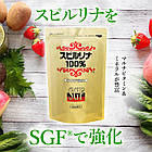 ALGAE Японська спіруліна SGF gold з фактором росту, природний BCAA, 1800 таб по 200 мг, фото 7